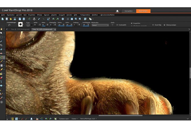 Bild Corel PaintShop Pro 2018 - Der Klonpinsel bietet eine verbesserte Vorschau und Transparenz. [Foto: Corel]