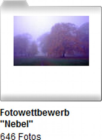 Bild digitalkamera.de-Fotowettbewerb Nebel [Foto: MediaNord]