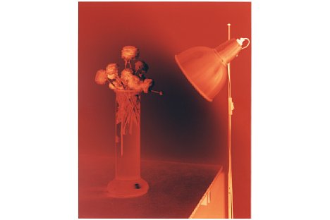 Bild Thomas Freiler, aus der Serie »Case Studies«, Ranunkel, 2011, Kodak Professional Paper, 30 cm ×24 cm [Foto: Thomas Freiler]