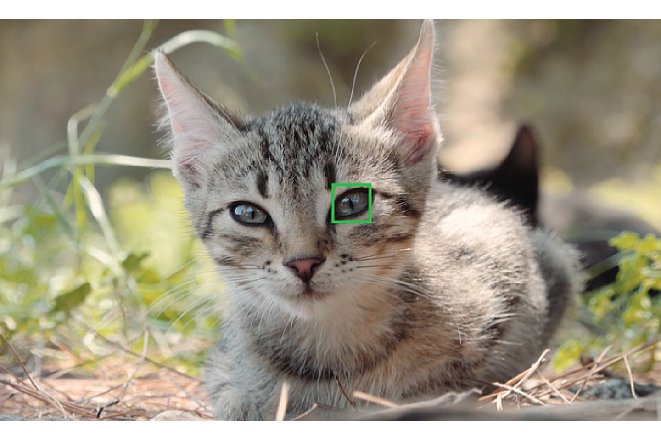 Bild Katzen dürfen neben Hunden und Wildtieren natürlich nicht fehlen. Auch ihre Augen erkennt der Tier-Augen-AF der Sony Alpha 6400 problemlos. [Foto: Sony]