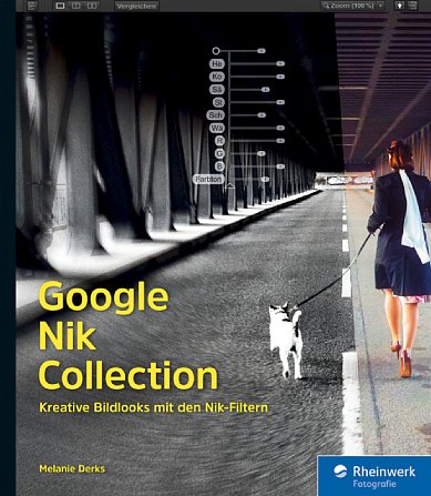 Bild Google Nik Collection – Kreative Bildlooks mit den Nik-Filtern. [Foto: Rheinwerk Verlag (Galileo Press)]