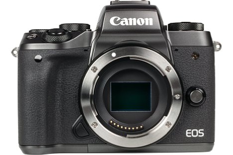 Bild 24 Megapixel löst der APS-C-Sensor (Copfaktor 1,6) der Canon EOS M5 auf. Für die Fokussierung steht der Dual-Pixel-AF zur Verfügung, der die Pixel zur Phasenmessung in zwei Hälften teilt. [Foto: MediaNord]