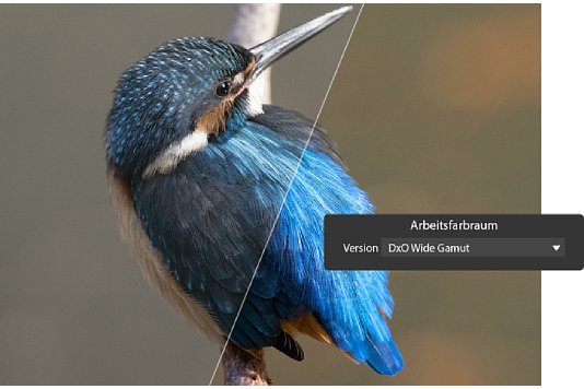 Bild Der proprietäre DxO Wide Gamut Arbeitsfarbraum ist mit PhotoLab 6.3 auch bei JPEG- und TIF-Dateien einsetzbar. [Foto: DxO]