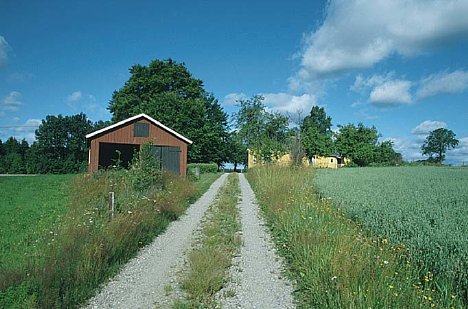 Bild Nordische Landschaft [Foto: Jürgen Rauteberg]
