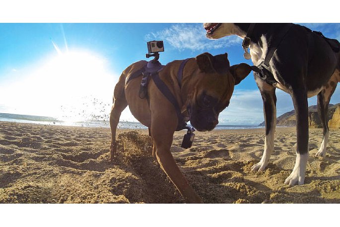 Bild Don't try this at home! Am Strand gehört die Actioncam in ein Schutzgehäuse und nicht wie auf diesem Foto zu sehen nur in die Rahmenhalterung "The Frame". [Foto: GoPro]