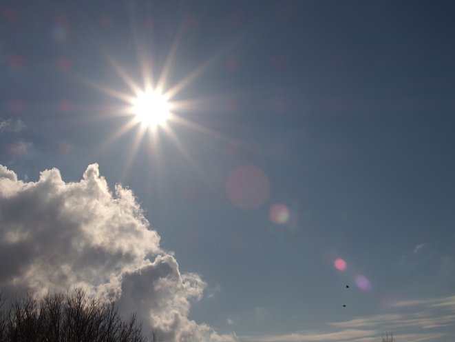 Bild Das Voigtländer 29 mm 1:0,8 Super Nokton asphärisch bei F16 im Gegenlicht mit Sonnenstern und Blendenflecken. Letztere halten sich in Grenzen, die Gegenlicht-Kontraste sind sehr gut. [Foto: MediaNord]