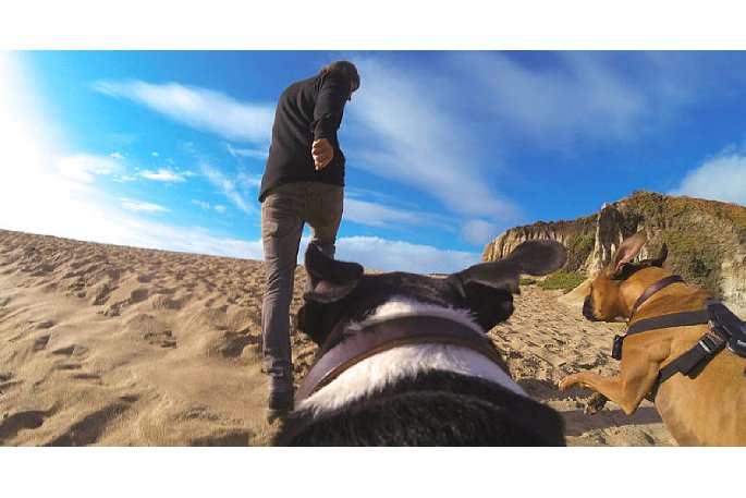 Bild Perspektive der Kamera von der Rückenplatte der GoPro Fetsch-Hundehalterung. [Foto: GoPro]