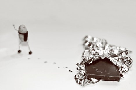 Bild Einen "Lebensmitteskandal" der etwas anderen Art deckt "Erdnusspuren in Vollmilchschokolade" auf. [Foto: Winwood]