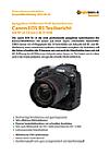Canon EOS R3 Testbericht