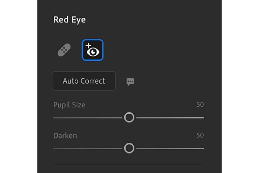 Bild Lightroom findet alle Augen in einem Bild automatisch und entfernt rote Augen bei Bedarf mit einem Klick (ACR, Lightroom Mac/Win). [Foto: Adobe]