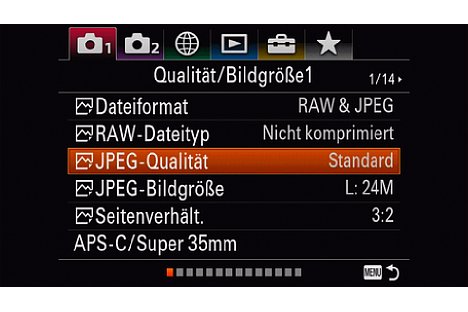 Bild Im Kameramenü auf der allerersten Seite wählen wir als Dateiformat "RAW&JPEG" aus und setzen die JPEG-Qualität zugunsten einer schnelleren Übertragung auf "Standard". Die maximale Auflösung von 24 Megapixel möchten wir aber beibehalten. [Foto: MediaNord]