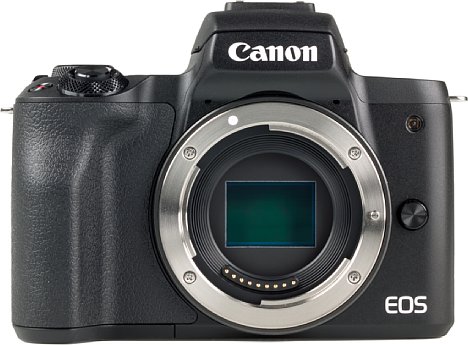 Bild Der 24 Megapixel auflösende APS-C-Sensor der Canon EOS M50 erreicht auch effektiv eine hohe Auflösung von über 60 lp/mm im Kleinbildäquivalent. Vor allem bei niedrigen ISO-Empfindlichkeiten ist die Bildqualität sehr gut. [Foto: MediaNord]