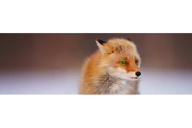 Bild Auch auf die Augen eines Fuchses kann der Tier-Augen-AF der Sony Alpha 6400 nach dem Firmwareupdate 2.00 fokussieren. [Foto: Sony]