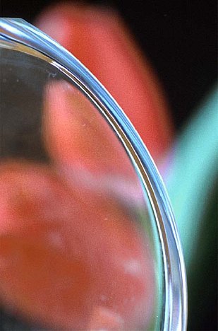 Bild Glasgefäß -- Schärfe im Vordergrund [Foto: Jürgen Rauteberg]