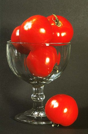 Bild Rote Tomaten [Foto: Jürgen Rauteberg]