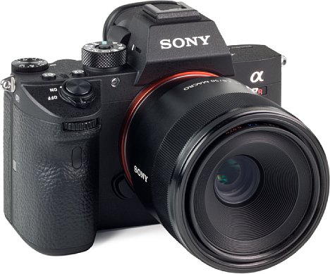 Bild An der Alpha 7R III liefert das Sony FE 50 mm F2.8 Macro, wenn auch erst leicht abgeblendet, eine hervorragende Auflösung mit minimalster Verzeichnung ab. Weniger schön sind die sichtbaren Farbsäume. [Foto: MediaNord]