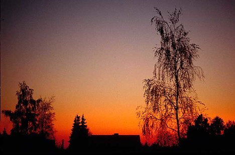 Bild Himmel - rot verlaufend vor Silhouette [Foto: Jürgen Rauteberg]
