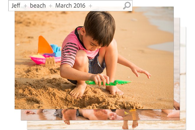 Bild Die Suchfunktion im Organizer in Photoshop Elements 15 erlaubt eine verbesserte und smarte Verschlagwortung von Bildern. [Foto: Adobe]