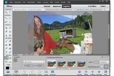 Bild Das Freistellungswerkzeug von Photohop Elements 13 schlägt automatisch vier verschiedene Bildausschnitte vor. [Foto: Heico Neumeyer]