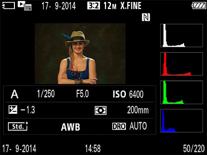 Bild Sowohl weitere Aufnahmeparameter als auch RGB- und Helligkeitshistogramme lassen sich in der Bildwiedergabe der Sony Alpha 7S ebenfalls anzeigen. [Foto: Martin Vieten]