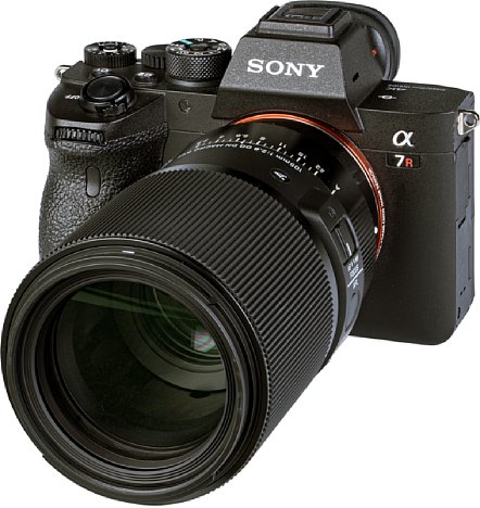 Bild Selbst an der äußerst hochauflösenden Sony Alpha 7R IV liefert das Sigma 105 mm F2.8 DG DN Macro Art bereits ab Offenblende eine sehr hohe Bildqualität ab. [Foto: MediaNord]