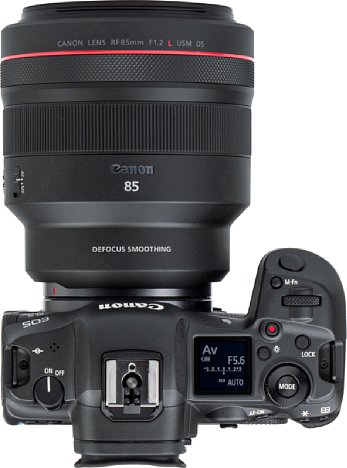 Bild Wie wuchtig das Canon RF 85 mm F1.2L USM DS ist, sieht man an der EOS R5. Mit Sonnenblende wiegt das Objektiv ein halbes Kilogramm mehr als die Kamera. [Foto: MediaNord]