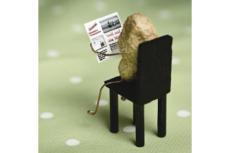 Bild Hier zeigen die "Nussgeschichten", dass auch Nüsse Interesse an Neuigkeiten aus der Welt der Nüsse haben. [Foto: Winwood]