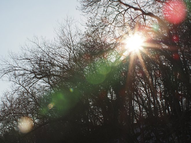 Bild Sonnenstern (zwölf Strahlen bei zwölf Blendenlamellen), Gegenlichtkontrast und Blendenreflexe des 7Artisans 35 mm F0,95 bei Blende F16. [Foto: Benjamin Kirchheim]