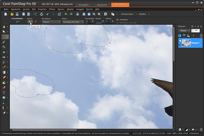 Bild Nach dem Klick auf "Magic Fill" hat PaintShop Pro die Tauben spurenlos entfernt. [Foto: Heico Neumeyer]